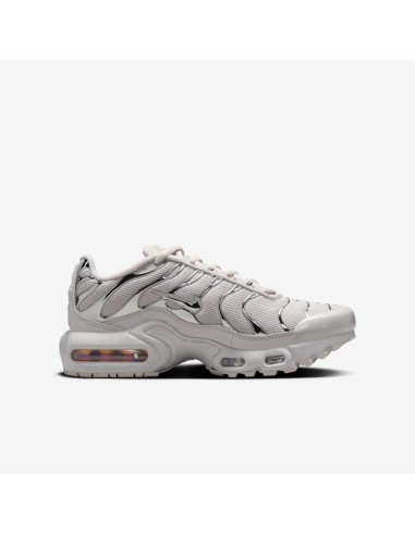 Nike Air Max Plus Light Iron Ore Gym Red Smoke Grey Metallic Silver GS FZ0977001 MBS