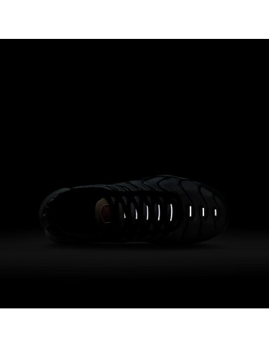 Nike Air Max Plus Platinum Black Red GS CD0609109 MBS
