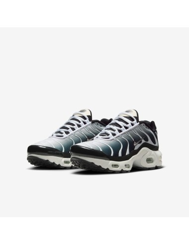 Nike Air Max Plus Black White Sail Metallic Cool Grey GS CD0609026 MBS