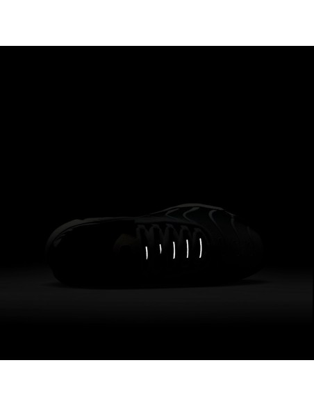 Nike Air Max Plus Black White Sail Metallic Cool Grey GS CD0609026 MBS