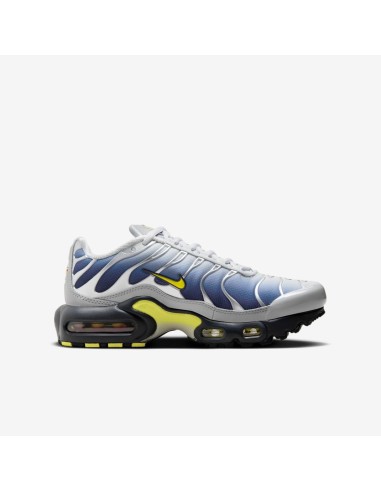Nike Air Max Plus Obsidian Silver GS HF0030001 MBS