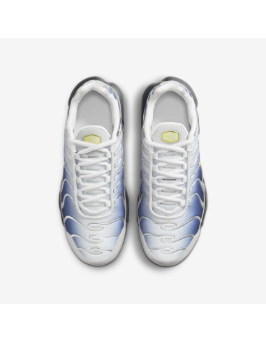 Nike Air Max Plus Obsidian Silver GS HF0030001 MBS