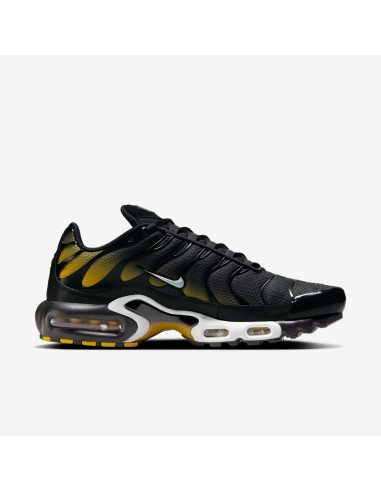 Nike Air Max Plus Black University Gold White DM0032013 MBS