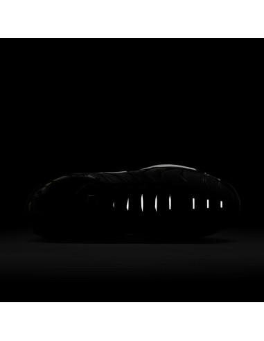 Nike Air Max Plus Black University Gold White DM0032013 MBS