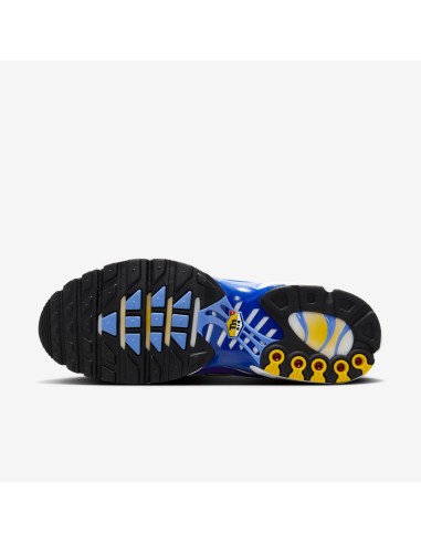 Nike Air Max Plus White Lyon Blue IF6224100 MBS