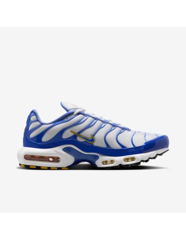 Nike Air Max Plus White Lyon Blue IF6224100 MBS