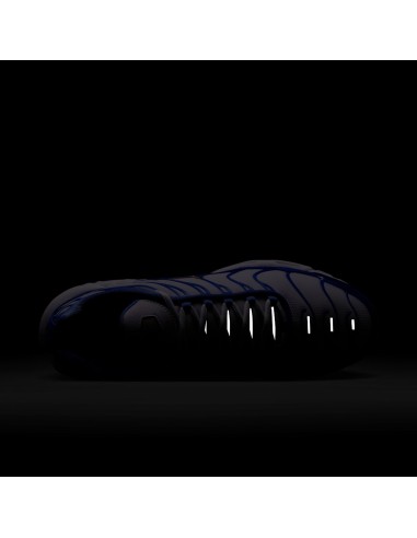 Nike Air Max Plus White Lyon Blue IF6224100 MBS