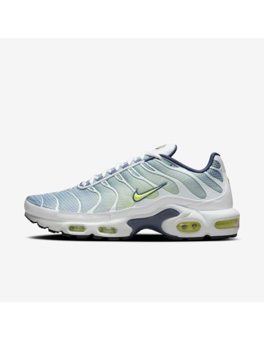 Nike Air Max Plus Pebble Grey Lime HV6227001 MBS