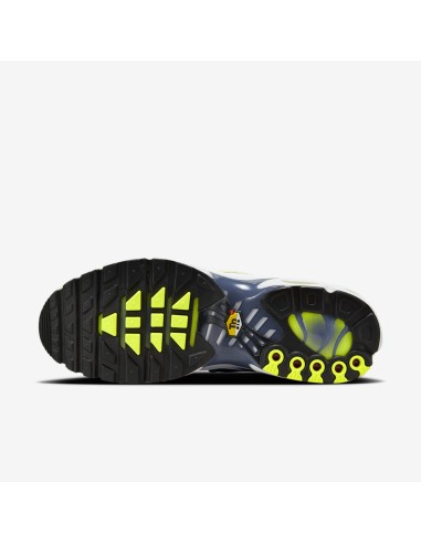 Nike Air Max Plus Pebble Grey Lime HV6227001 MBS