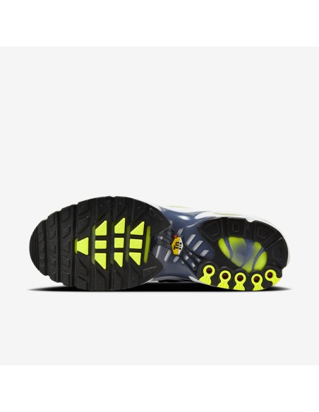 Nike Air Max Plus Pebble Grey Lime HV6227001 MBS