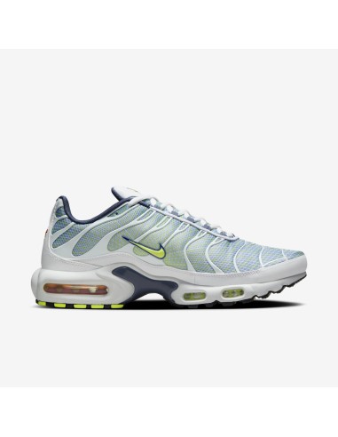Nike Air Max Plus Pebble Grey Lime HV6227001 MBS