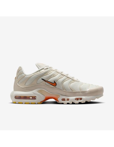 Nike Air Max Plus Phantom Safety Orange DM0032019 MBS