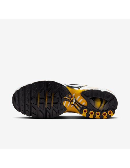 Nike Air Max Plus Varsity Maze DM0032104 MBS