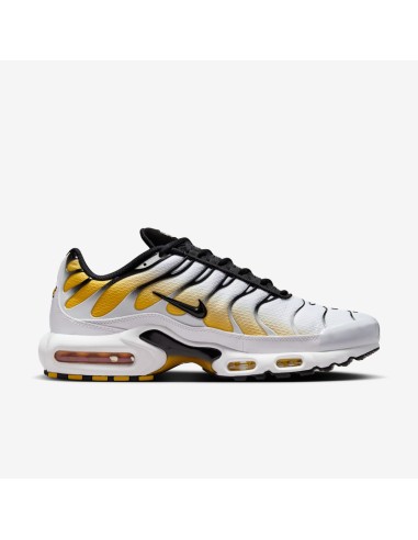 Nike Air Max Plus Varsity Maze DM0032104 MBS