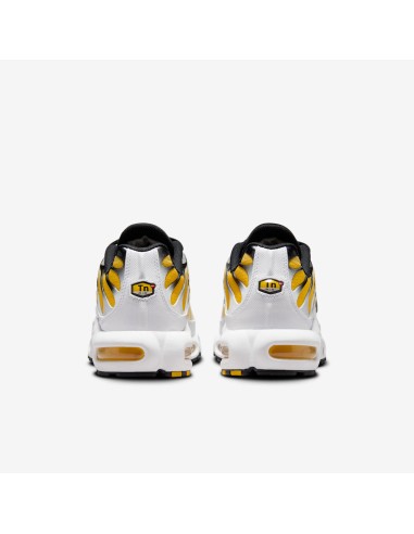 Nike Air Max Plus Varsity Maze DM0032104 MBS