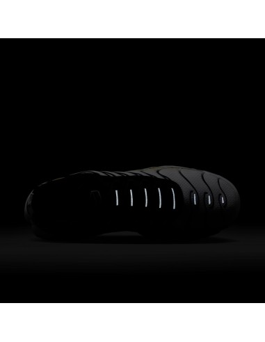 Nike Air Max Plus Varsity Maze DM0032104 MBS