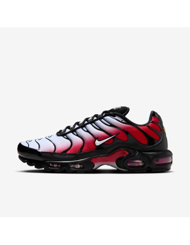 Nike Air Max Plus Pure Platinum University Red Black White DM0032017 MBS
