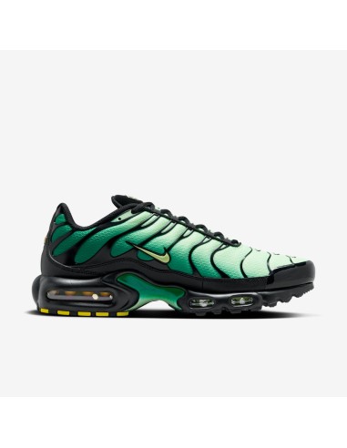 Nike Air Max Plus Vapor Green Malachite Black Light Lemon Twist DM0032301 MBS
