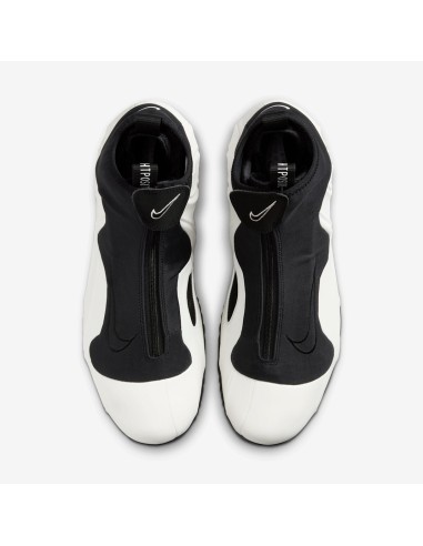 Nike Air Flightposite Sail Black HJ4481100 MBS