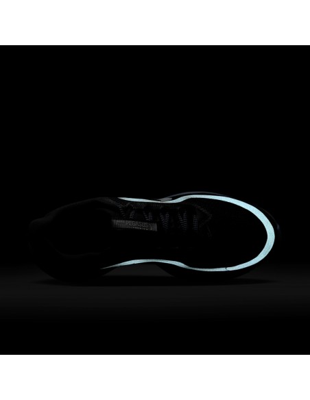 Nike Air Zoom Pegasus Premium Anthracite HQ2592006 MBS