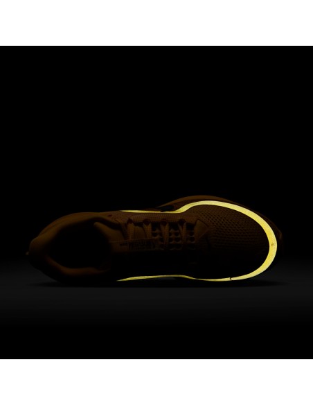 Nike Air Zoom Pegasus Premium Modern Mayfly IH3256700 MBS