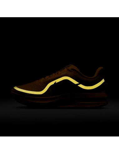 Nike Air Zoom Pegasus Premium Modern Mayfly IH3256700 MBS