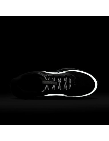 Nike Air Zoom Pegasus Premium Black Metallic Silver HQ2592005 MBS