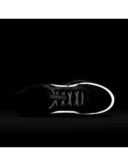 Nike Air Zoom Pegasus Premium Black Metallic Silver HQ2592005 MBS