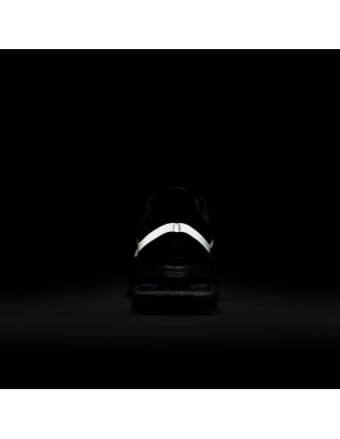 Nike Air Zoom Pegasus Premium Black Metallic Silver HQ2592005 MBS