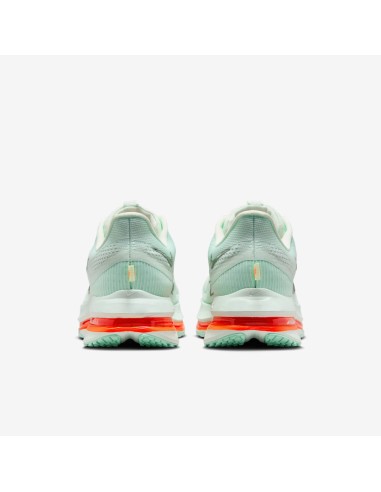 Nike Air Zoom Pegasus Premium Barely Green HQ2592301 MBS