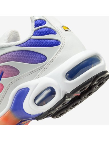 Nike Air Max Plus Persian Violet Light Wild Mango Women's DZ3670003 MBS