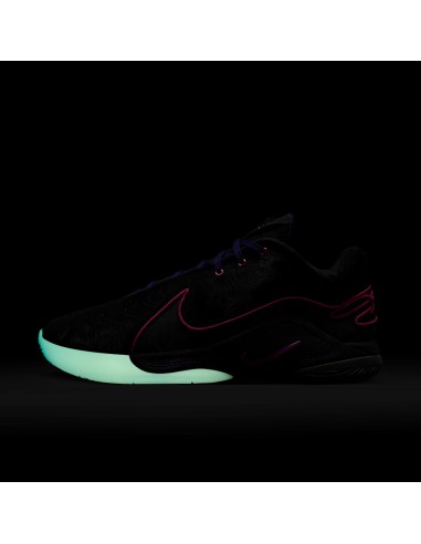 Nike LeBron 22 Blacklight FZ1094001 MBS