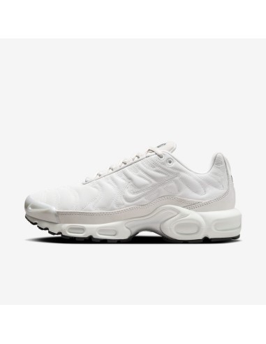 Nike Air Max Plus Platinum Tint Women's FZ4342001 MBS