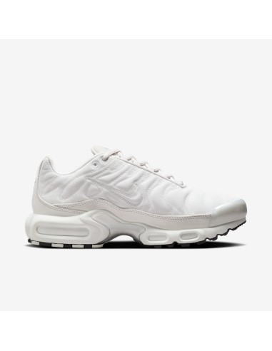 Nike Air Max Plus Platinum Tint Women's FZ4342001 MBS