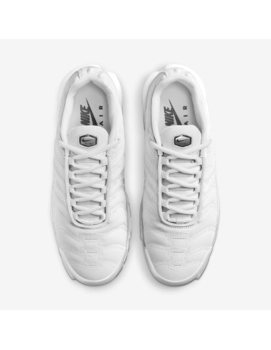 Nike Air Max Plus Platinum Tint Women's FZ4342001 MBS