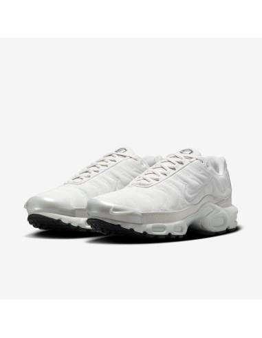 Nike Air Max Plus Platinum Tint Women's FZ4342001 MBS