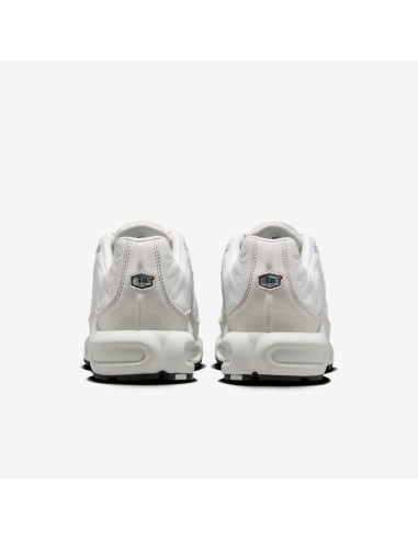 Nike Air Max Plus Platinum Tint Women's FZ4342001 MBS