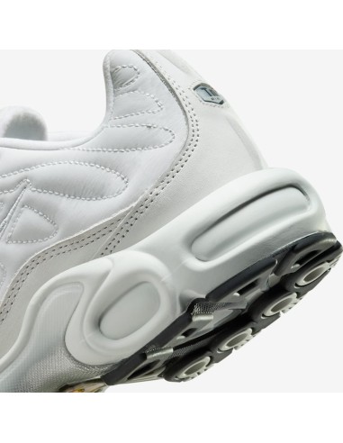 Nike Air Max Plus Platinum Tint Women's FZ4342001 MBS