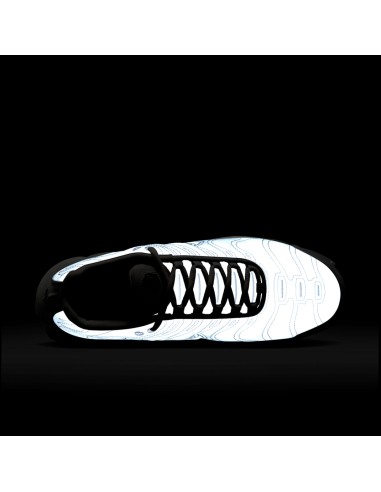 Nike Air Max Plus Platinum Tint Women's FZ4342001 MBS