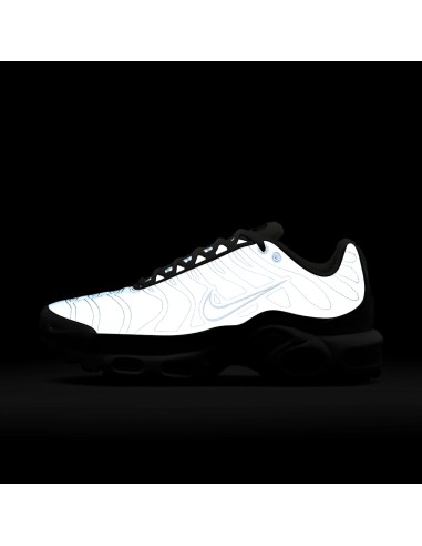 Nike Air Max Plus Platinum Tint Women's FZ4342001 MBS