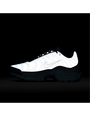 Nike Air Max Plus Platinum Tint Women's FZ4342001 MBS