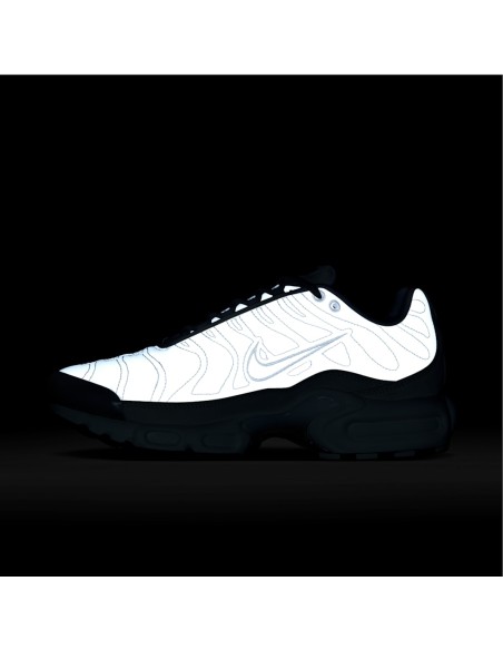 Nike Air Max Plus Platinum Tint Women's FZ4342001 MBS