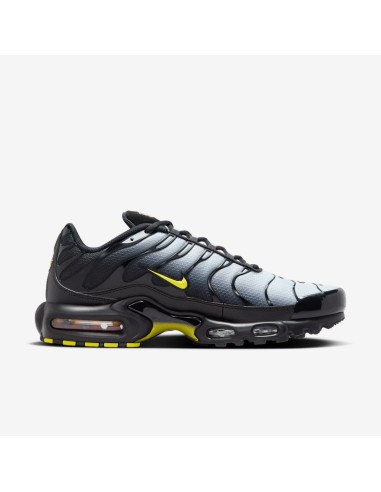 Nike Air Max Plus Black Opti Yellow DM0032012 MBS