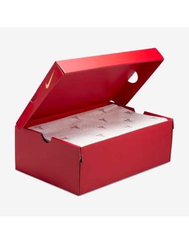 Nike Kobe 5 Year of the Mamba Eggplant GS HM3753500 MBS