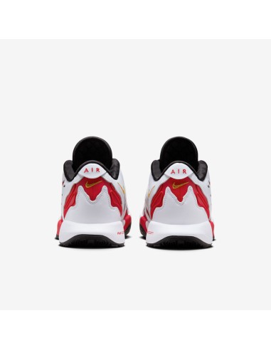 Nike LeBron 21 Prime 96 HV1221100 MBS