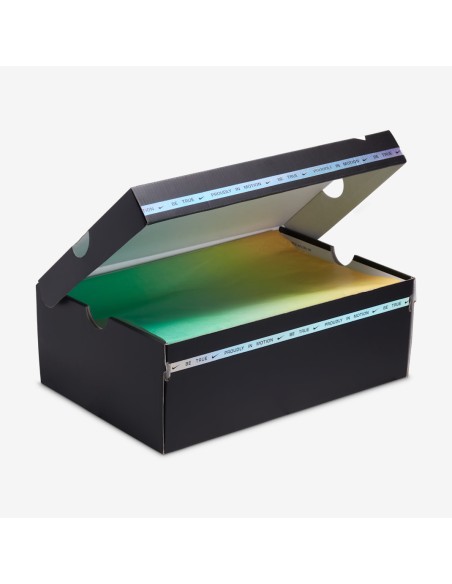 Nike SB Dunk Low Pro Be True Xavier Schipani DX5933900 MBS