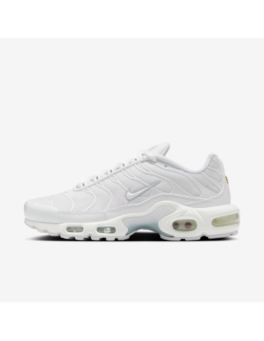 Nike Air Max Plus White Pure Platinum Women's DM2362100 MBS