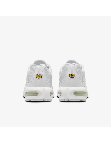 Nike Air Max Plus White Pure Platinum Women's DM2362100 MBS