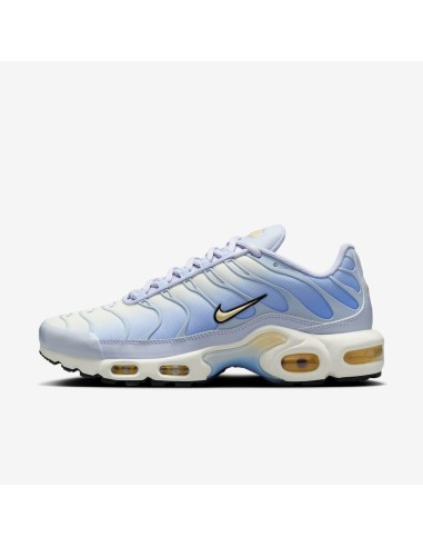 Nike Air Max Plus Daybreak Women's DZ3670004 MBS