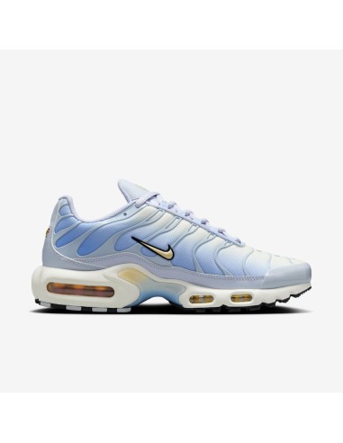 Nike Air Max Plus Daybreak Women's DZ3670004 MBS